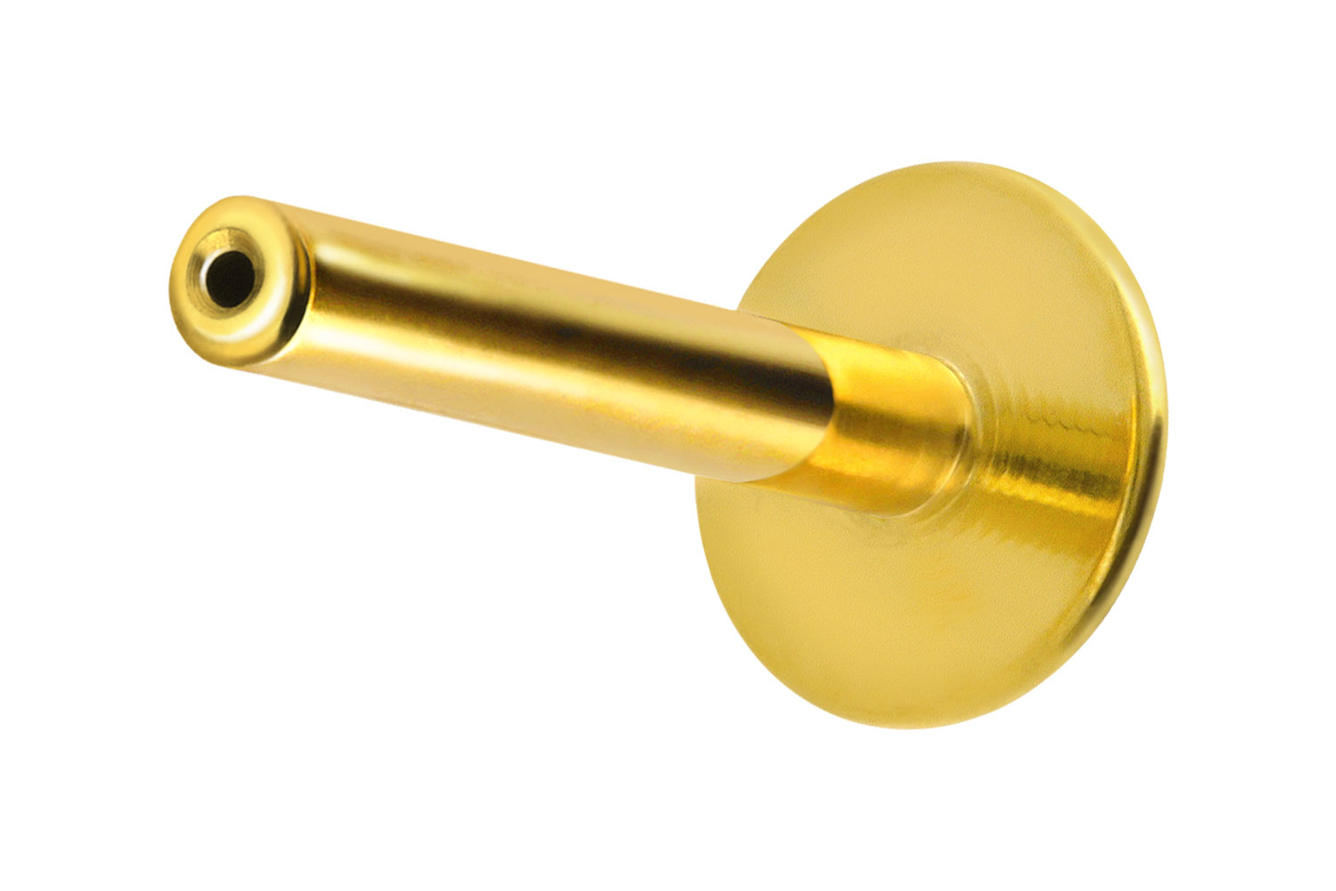 Titan Labret Piercing mit Push Fit ohne Kugel ABGERUNDETE PLATTE